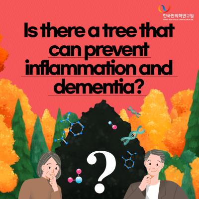 [Cardnews] Is there a tree that can prevent inflammation and dementia?