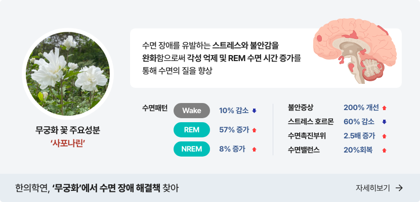 무궁화에서 수면 장애 해결책 찾아 자세히보기